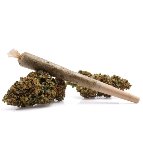 Dried Delta 8 buds and a rolled joint against a white background.